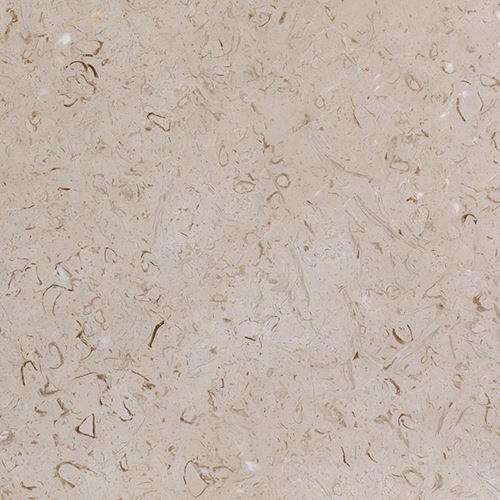 Fossil Beige Marble