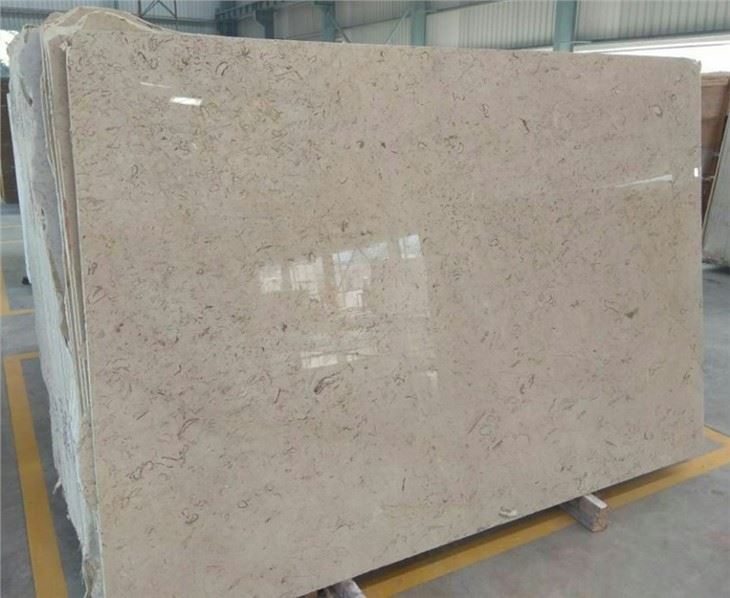 Fossil Beige Marble